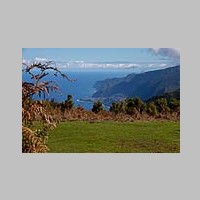 Madeira_2019_11_19_1404_Fanal-Lorbeerwald-Wanderung_IMG_9734.jpg